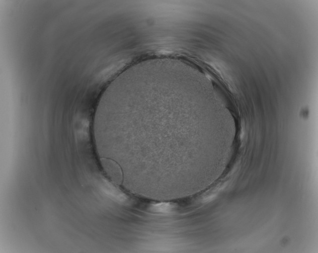 X0000091950269200709131210