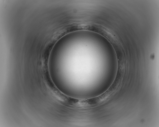 X0000091950270200709131210