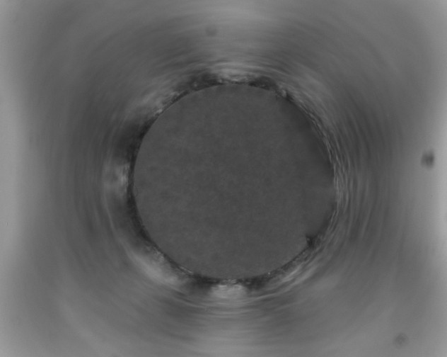 X0000091950271200709131210