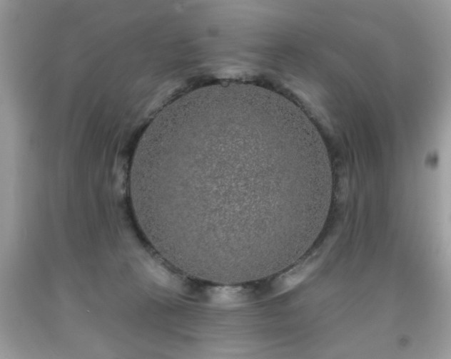 X0000091950273200709131210