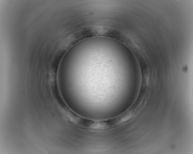 X0000091950274200709131210