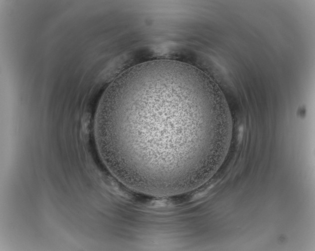 X0000091950275200709131210