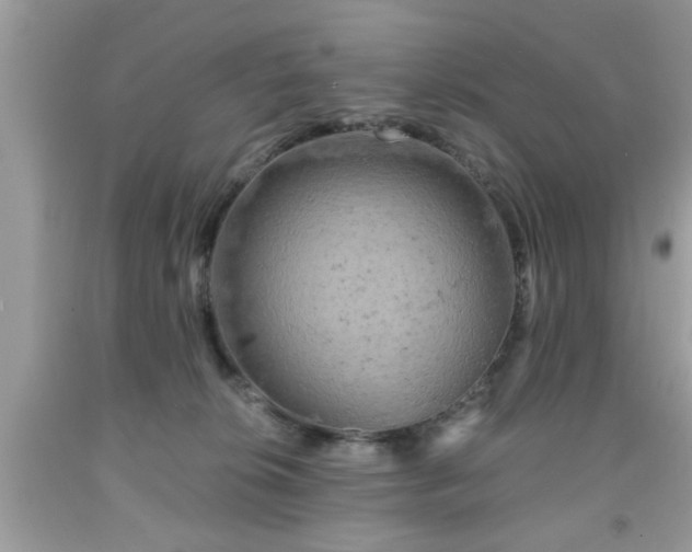 X0000091950276200709131210