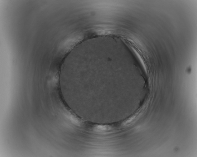 X0000091950277200709131210