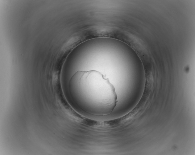 X0000091950278200709131210