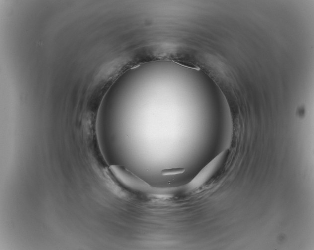 X0000091950280200709131210