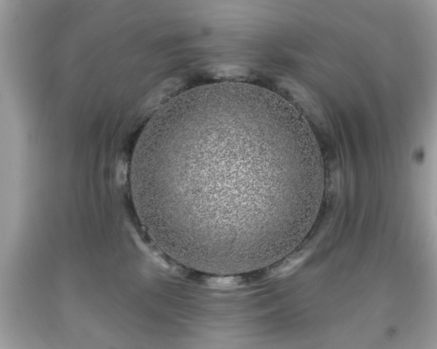 X0000091950281200709131210