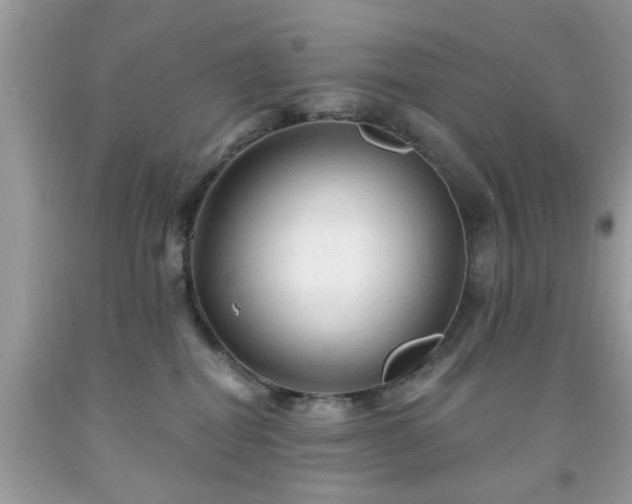 X0000091950282200709131210