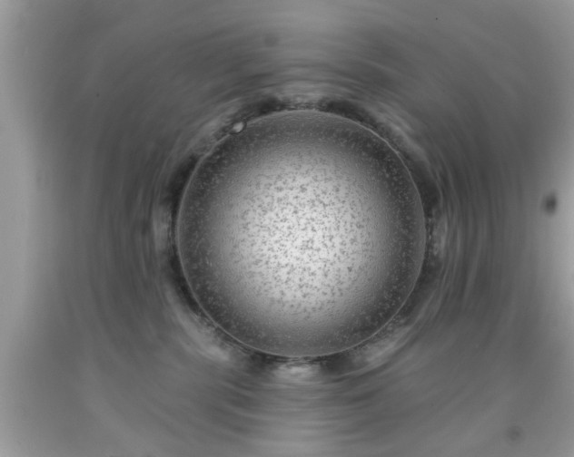 X0000091950283200709131210