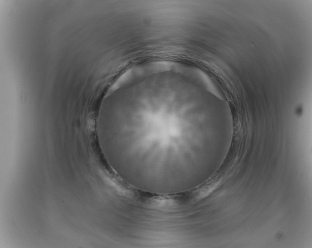 X0000091950284200709131210