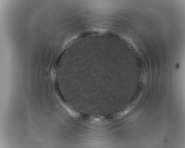 X0000091950285200709131210