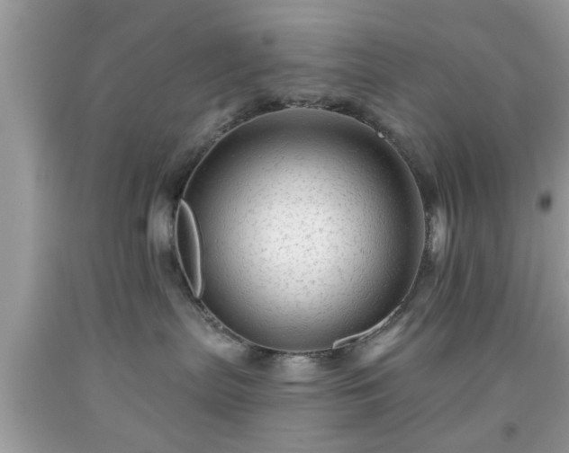 X0000091950287200709131210