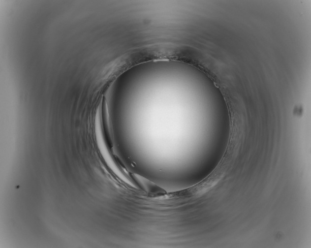 X0000091950288200709131210