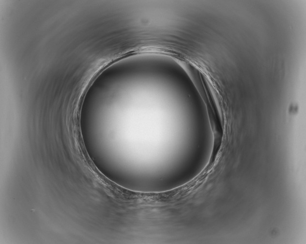 X0000091950289200709131209