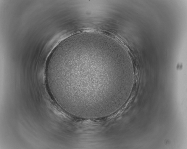 X0000091950290200709131209