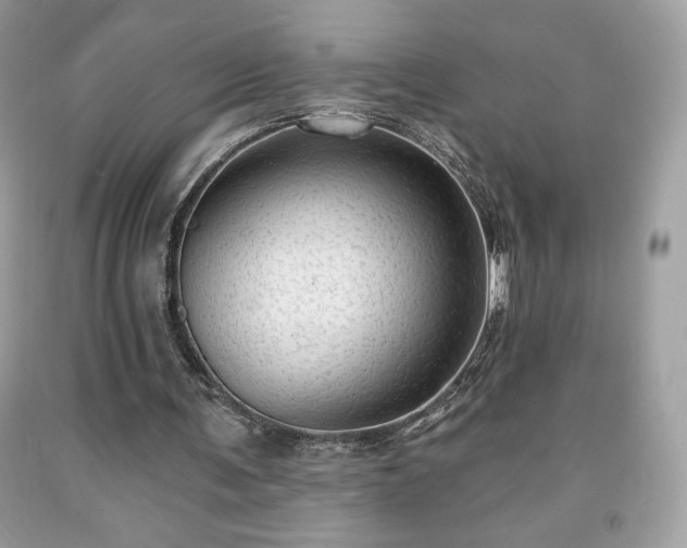 X0000091950291200709131209