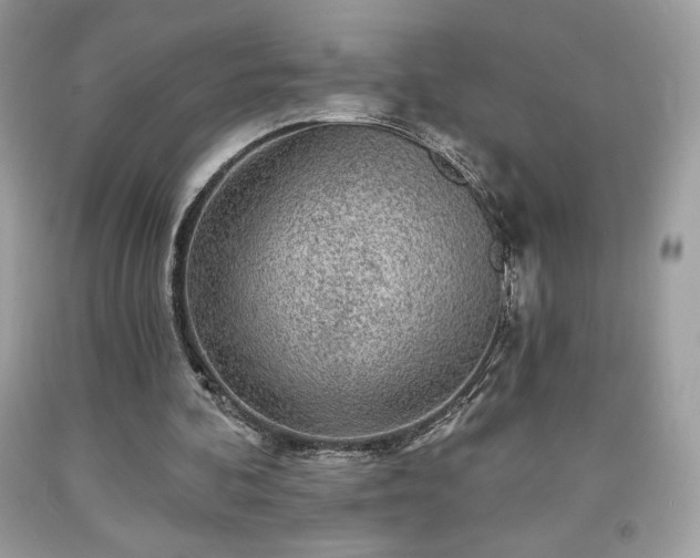 X0000091950292200709131209