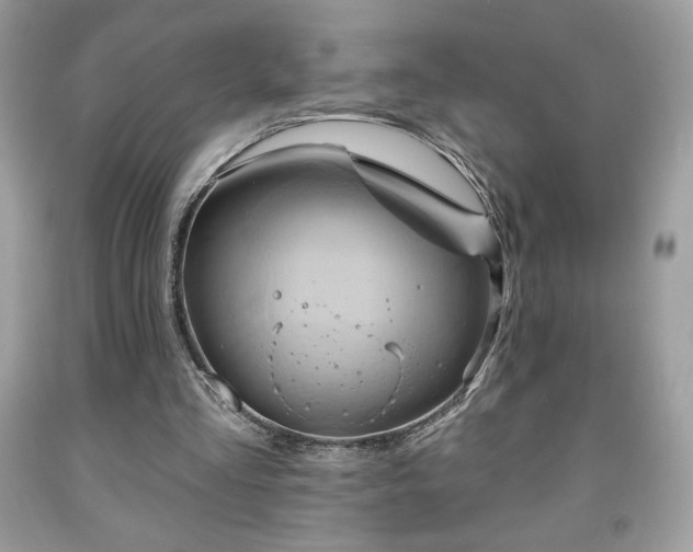 X0000091950293200709131209