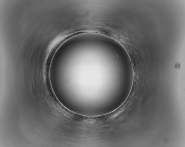 X0000091950294200709131209