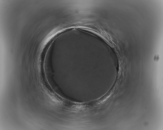 X0000091950295200709131209