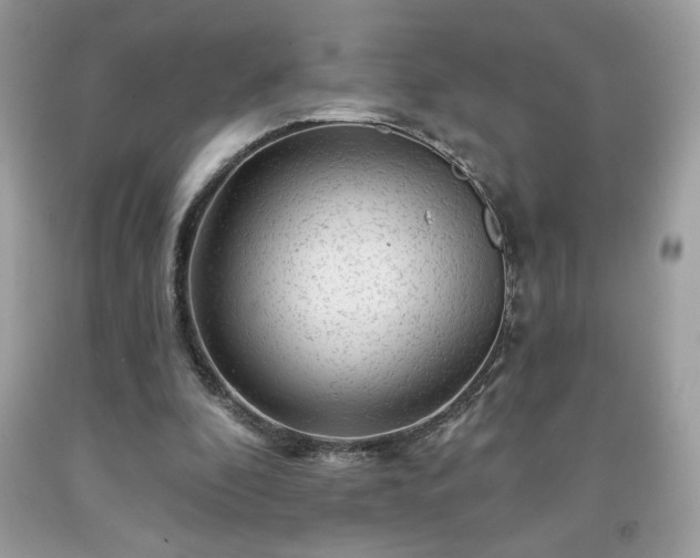 X0000091950296200709131209