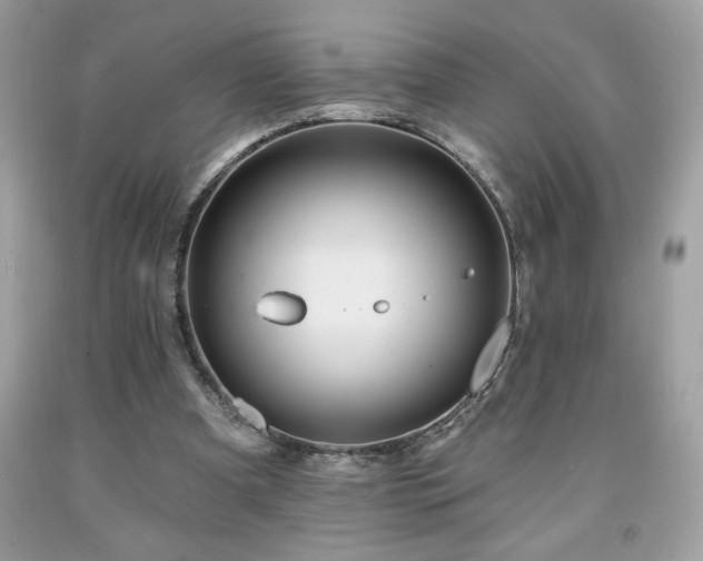 X0000091950297200709131209