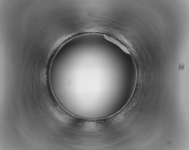 X0000091950298200709131209