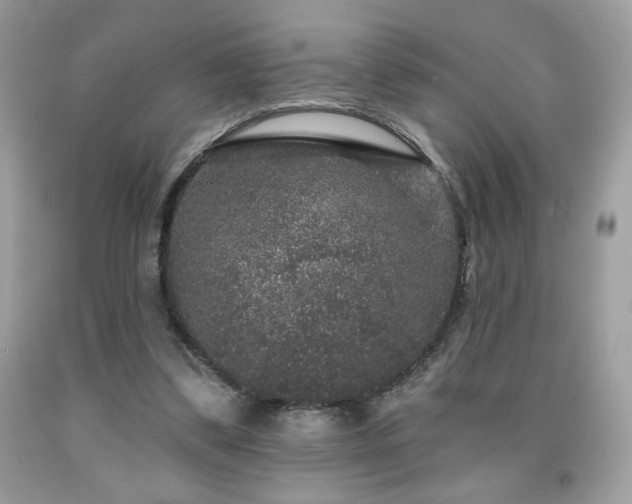 X0000091950299200709131209