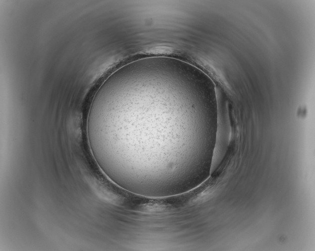 X0000091950300200709131209