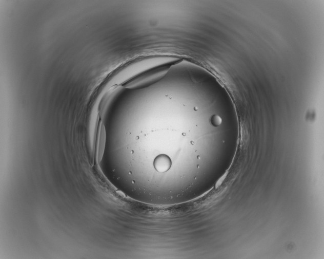 X0000091950301200709131209