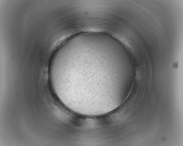 X0000091950302200709131209