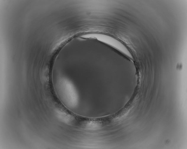 X0000091950303200709131209