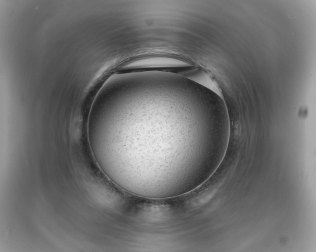 X0000091950304200709131209