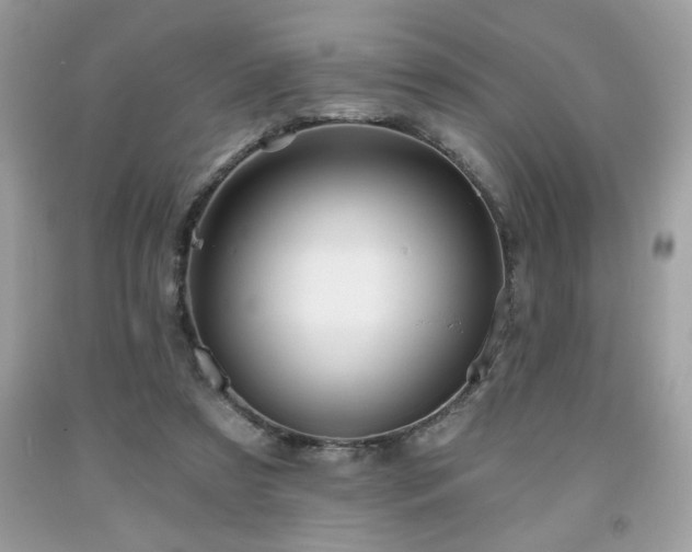 X0000091950305200709131209