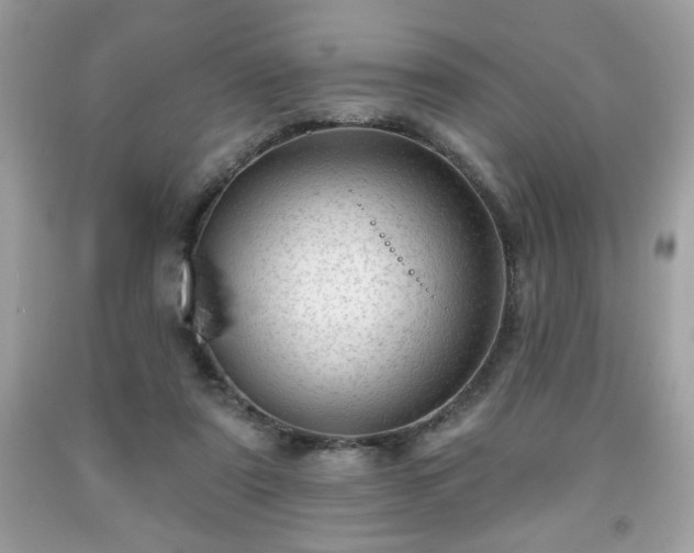 X0000091950307200709131209