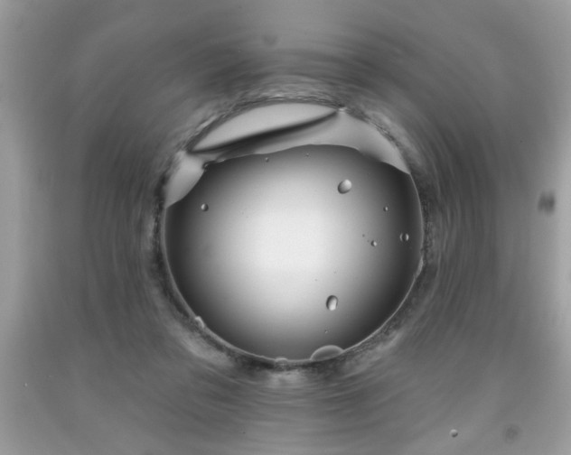 X0000091950309200709131209