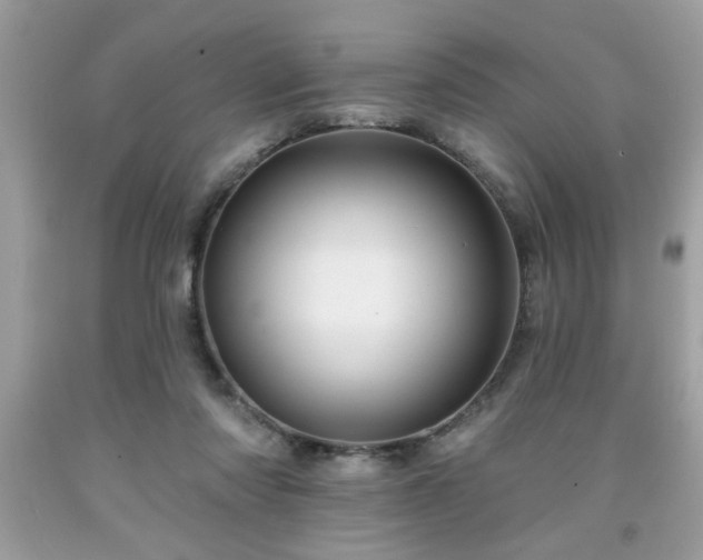 X0000091950310200709131209