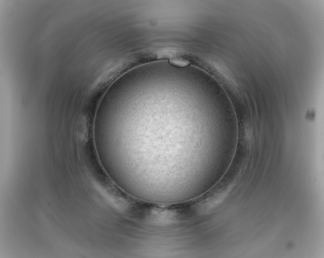 X0000091950311200709131209