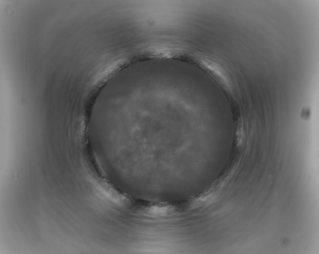 X0000091950314200709131209