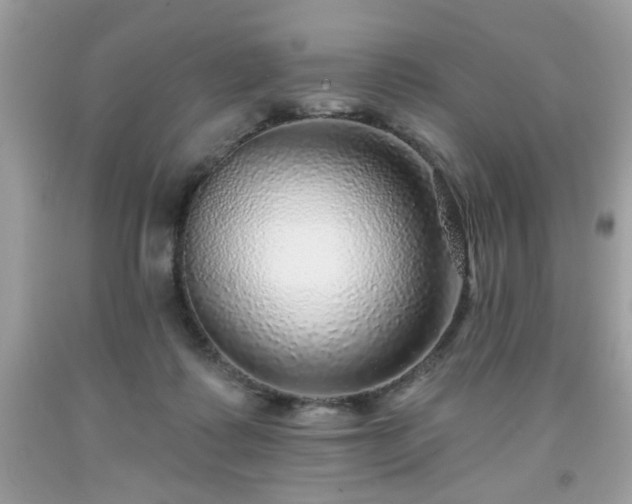 X0000091950315200709131209