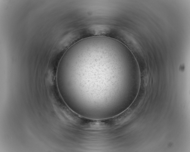 X0000091950316200709131209