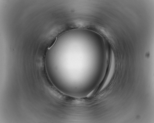 X0000091950317200709131209