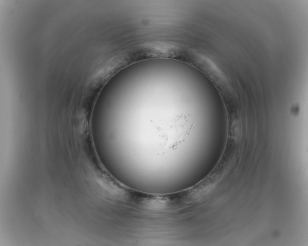 X0000091950318200709131209