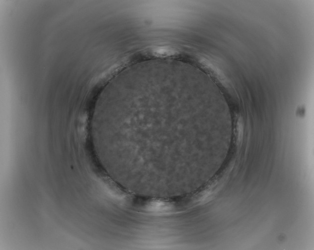 X0000091950319200709131209