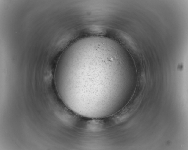 X0000091950320200709131209