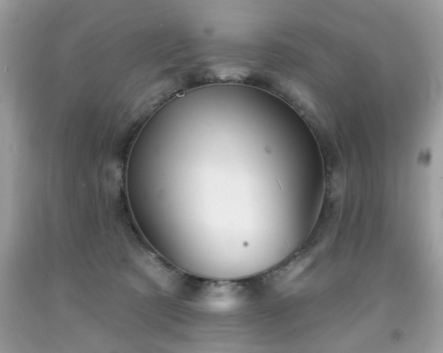 X0000091950321200709131209