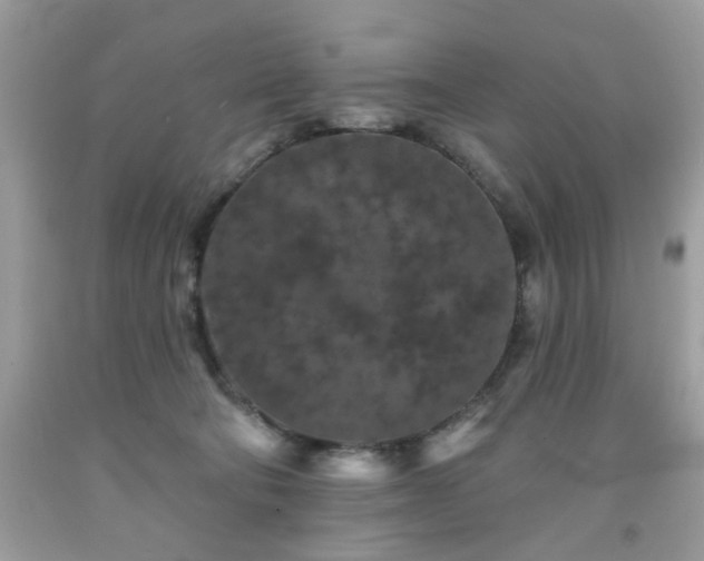 X0000091950322200709131209