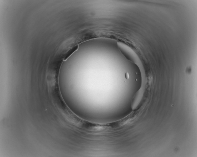 X0000091950323200709131209