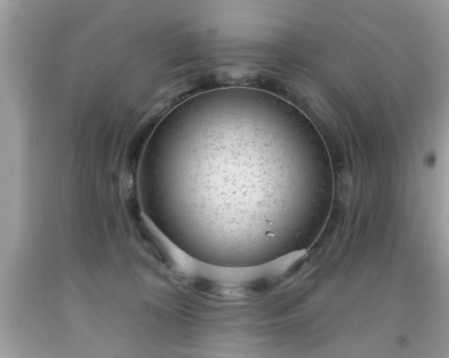 X0000091950324200709131209