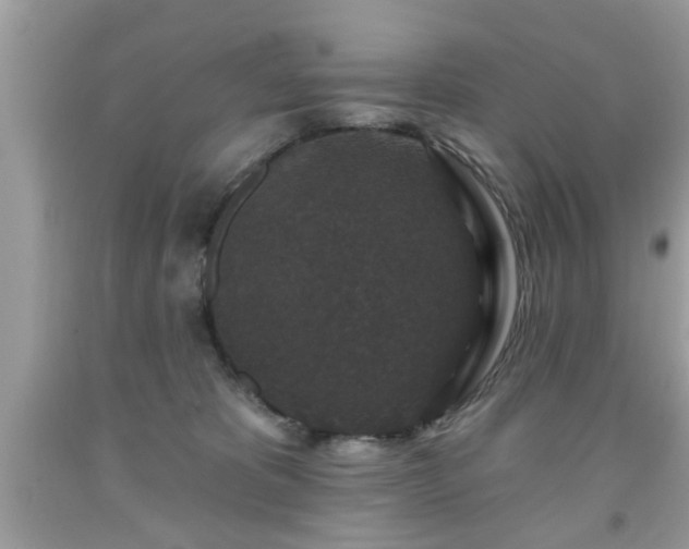 X0000091950325200709131209